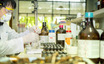 A Look Into Nissan Chemical's (TSE:4021) Impressive Returns On Capital