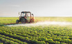 Here's Why China XLX Fertiliser (HKG:1866) Has Caught The Eye Of Investors